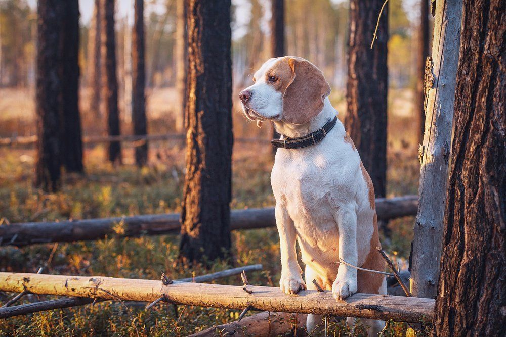 Photograph by Евгений Рыжиков