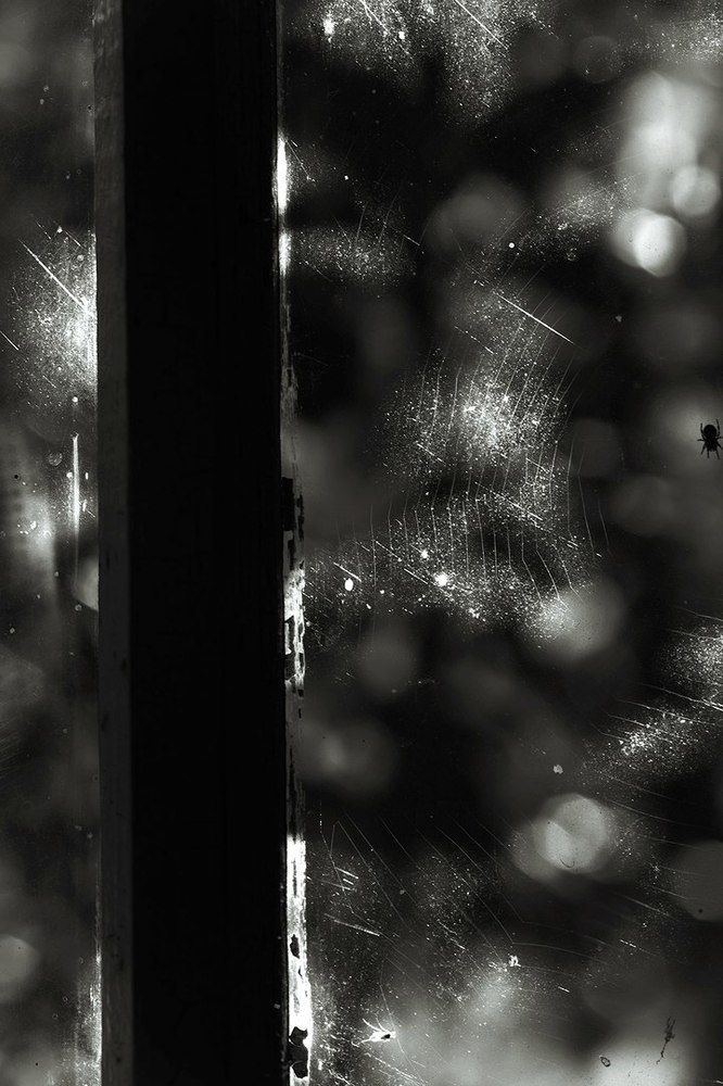 оконная жизнь