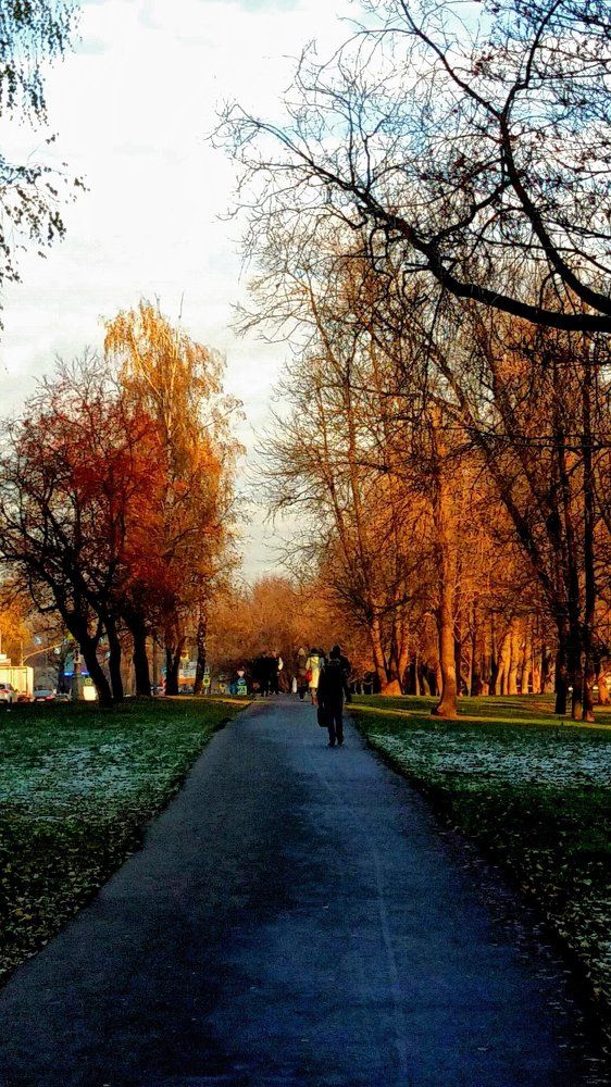 Последние солнечные дни