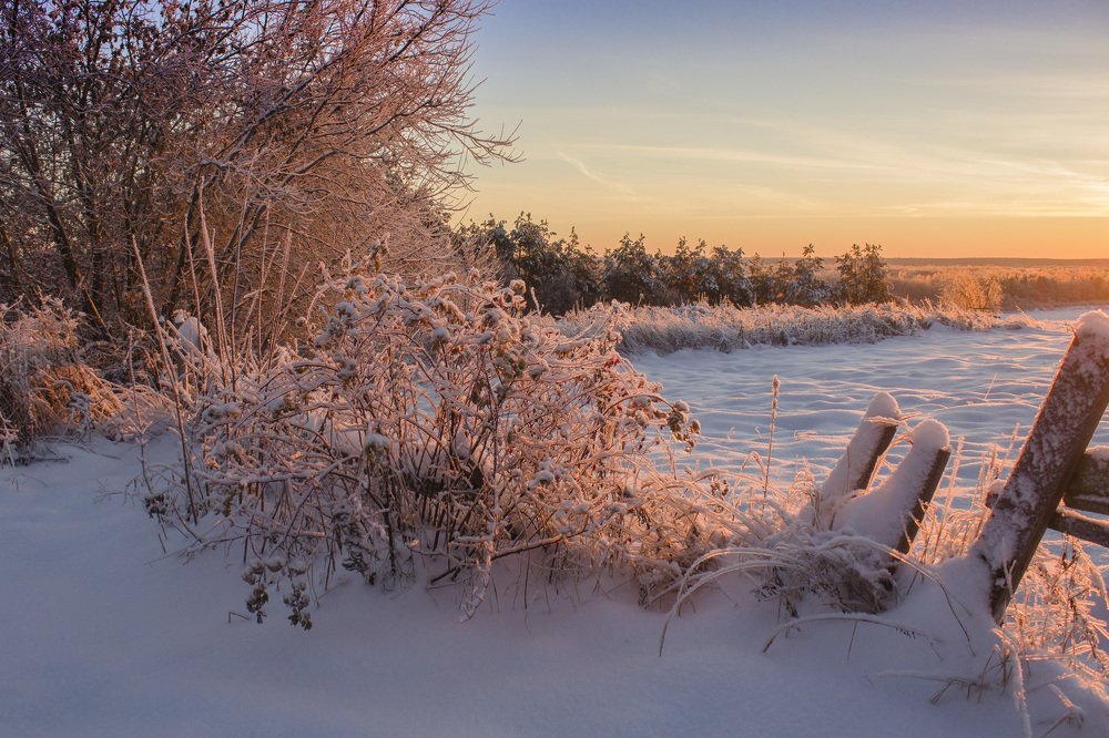 После ледяного дождя.