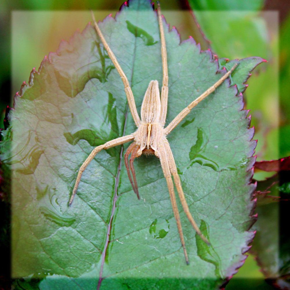 Photograph by Ирина Николаевна Притула