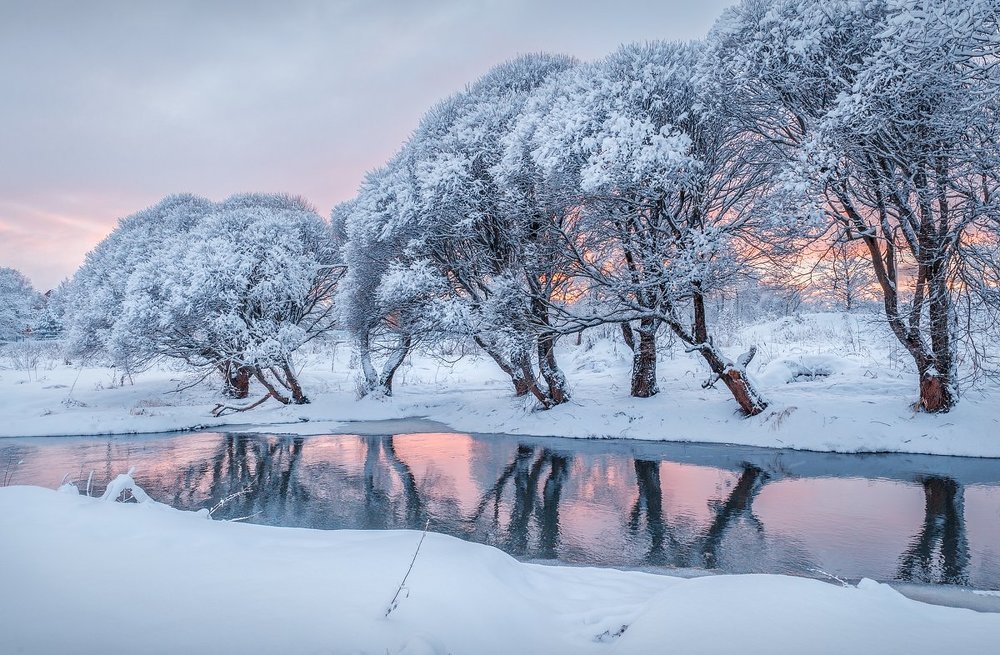 Январские ивы...