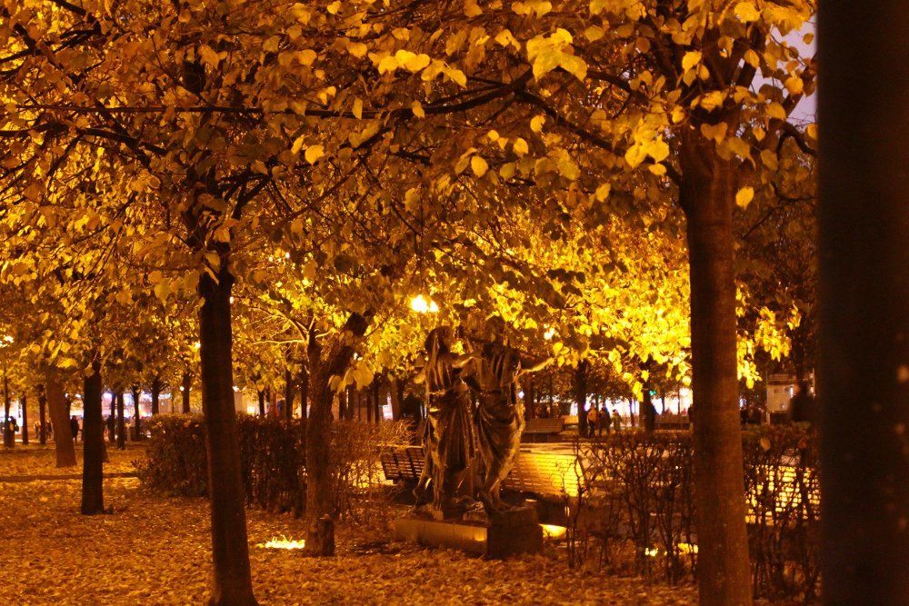 Золотая аллея