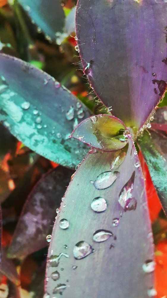 Photograph by Nabeela Raheem