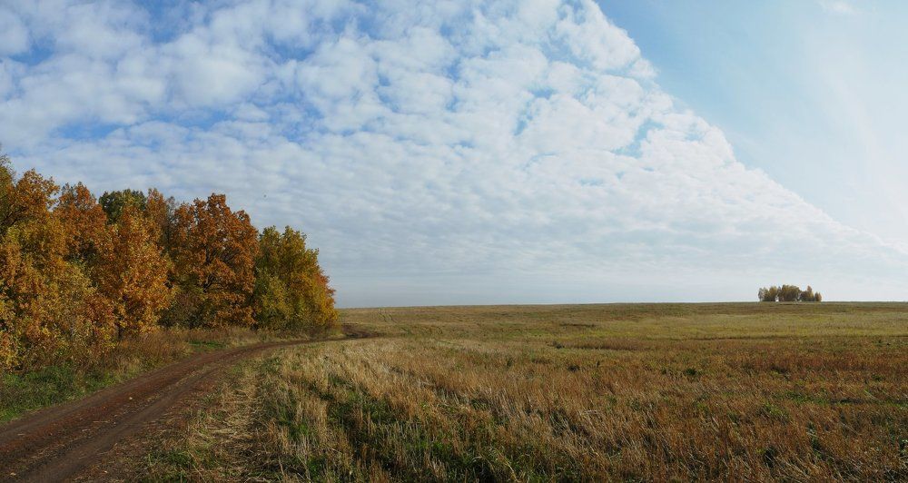Сонный октябрьский полдень