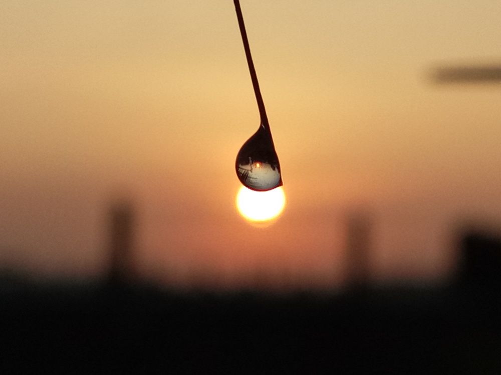 Sun drop.