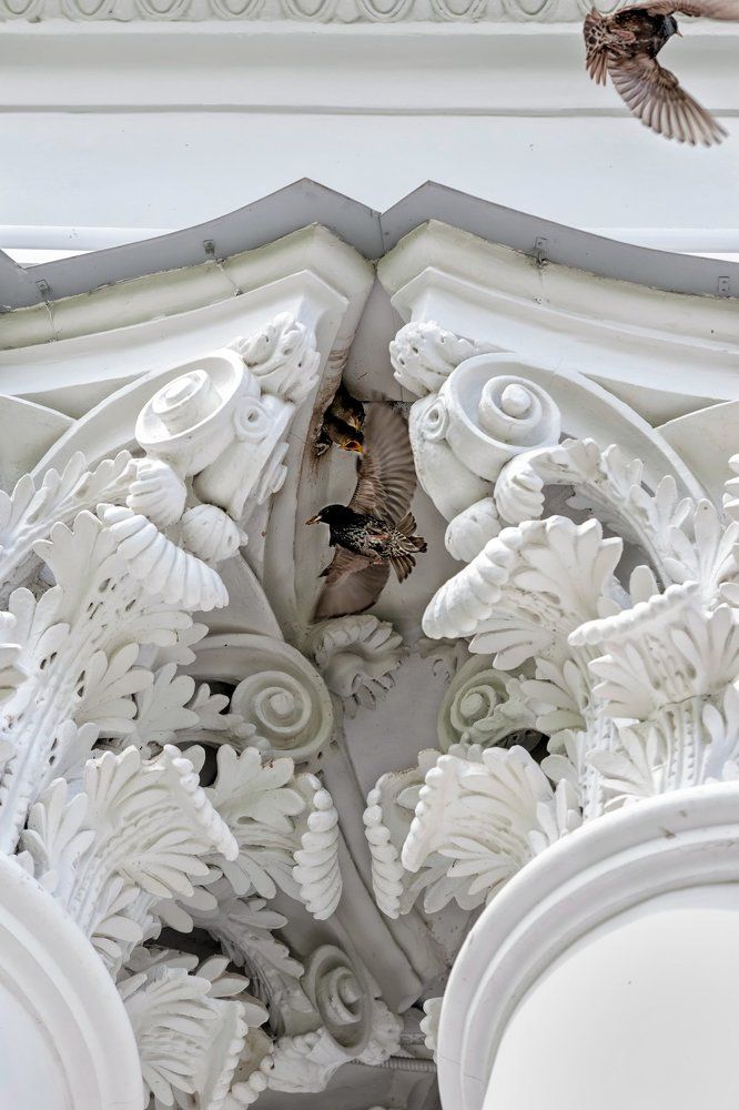 Photograph by Мария Шайген