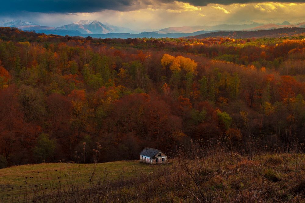 Одиночество