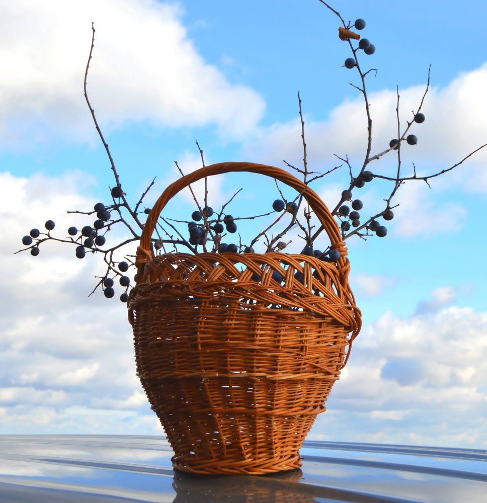 Фотография автора тимакова  нина