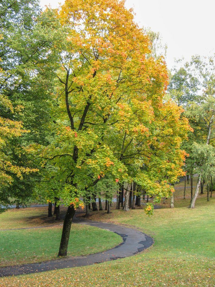 Photograph by Карина Хаустова