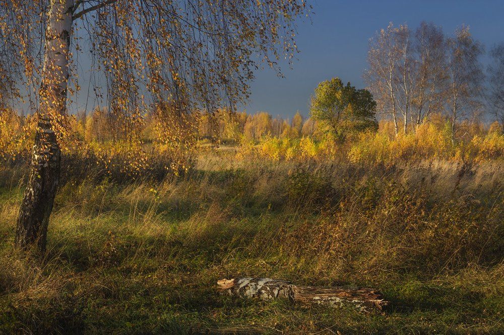 Золото осени