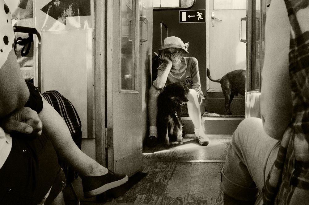 Photograph by Щербакова Галина