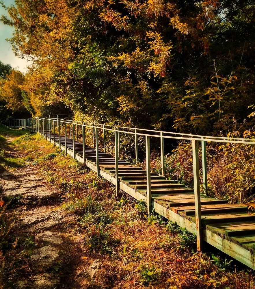 Вперёд и вверх