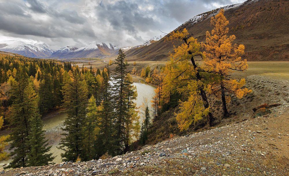 Хмурым осенним днем...