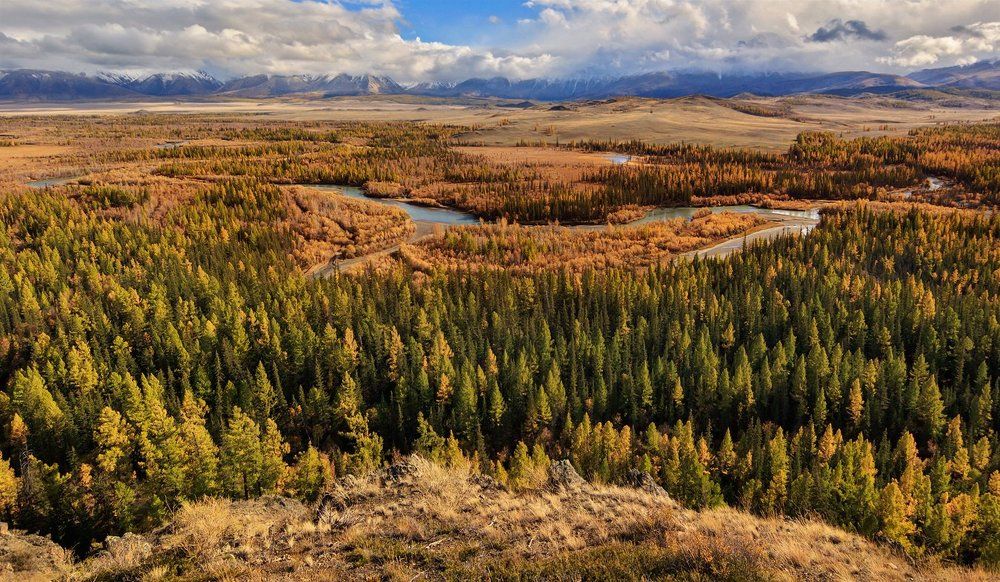 Курайские просторы...