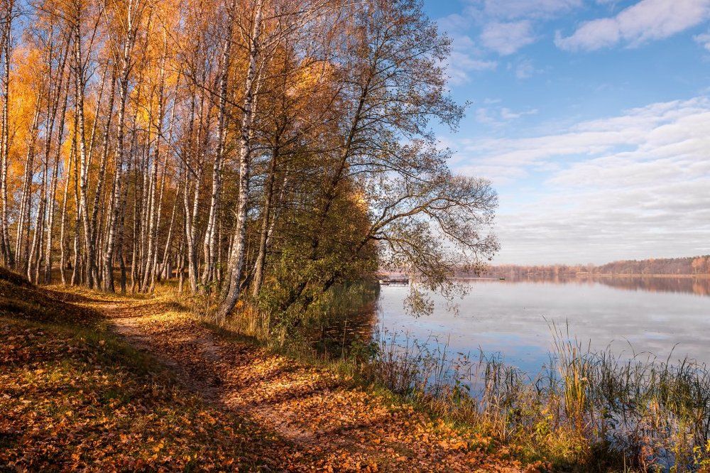 Осенняя нега