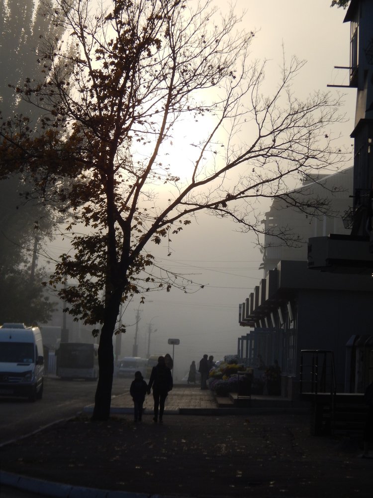 Раннее утро ,город в тумане..