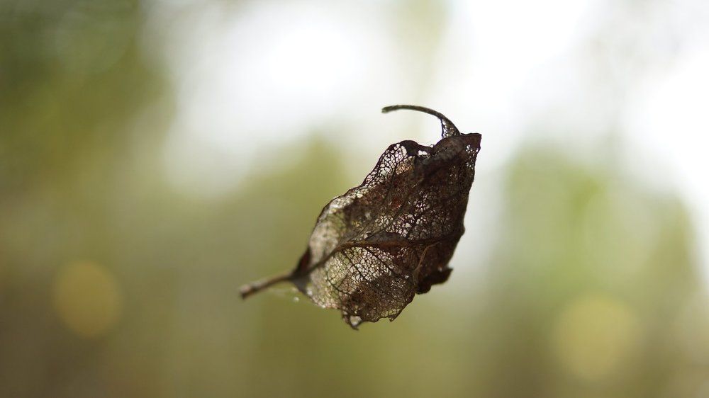 Photograph by Екатерина Ямурзина