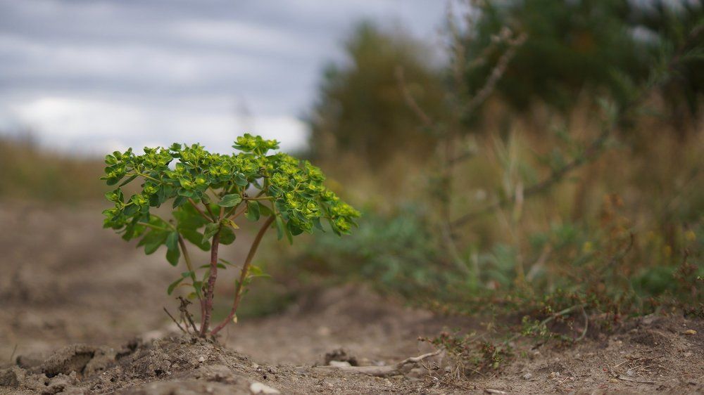 Photograph by Екатерина Ямурзина