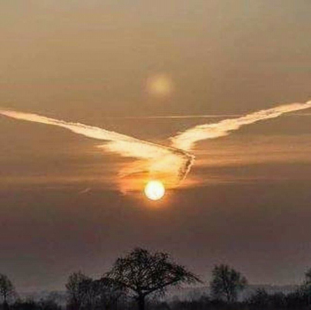 Meer777