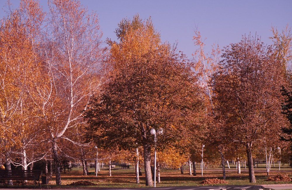 Краски осени