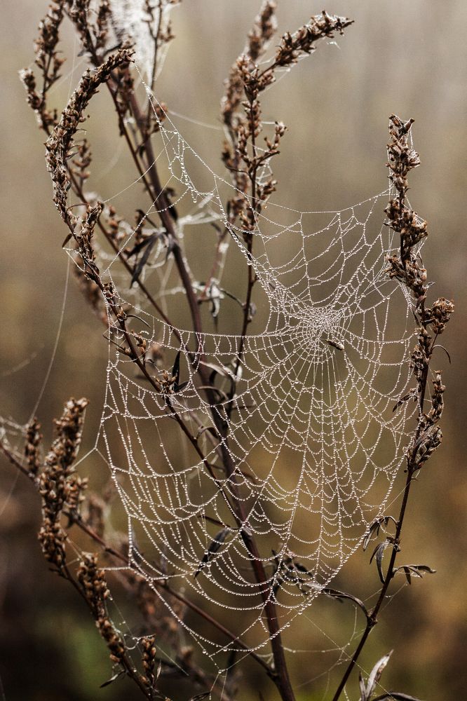 Photograph by Надя Марченко