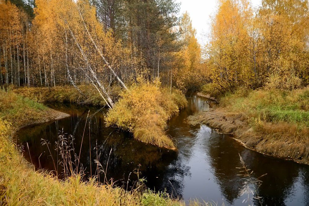 Октябрь в Коми