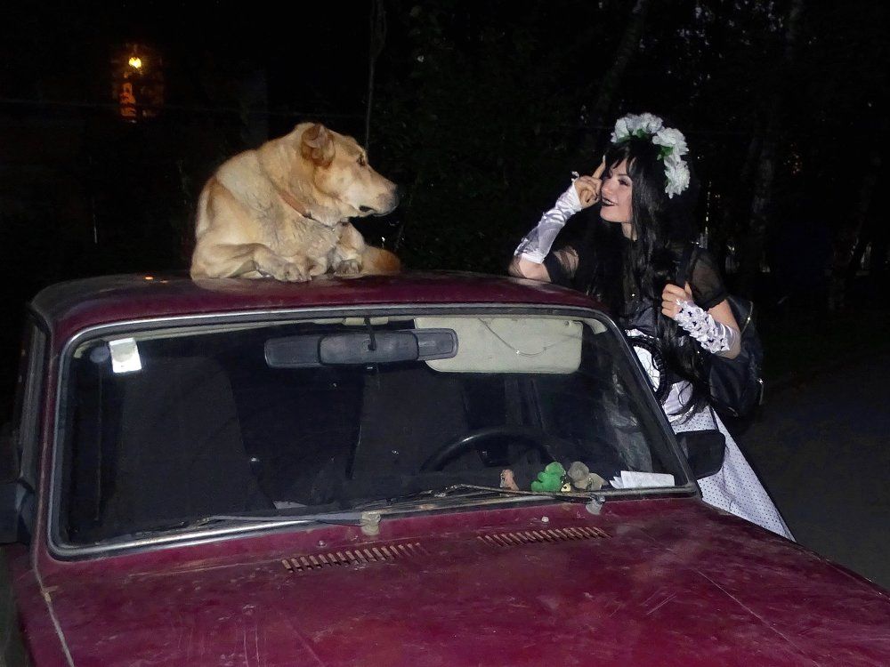 Добрые люди и пёс