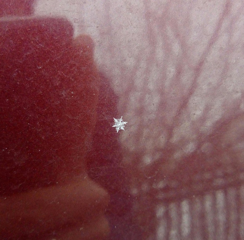 Первые снежинки