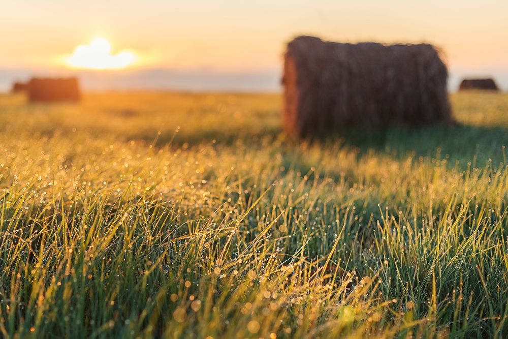Рассвет. Половина четвертого