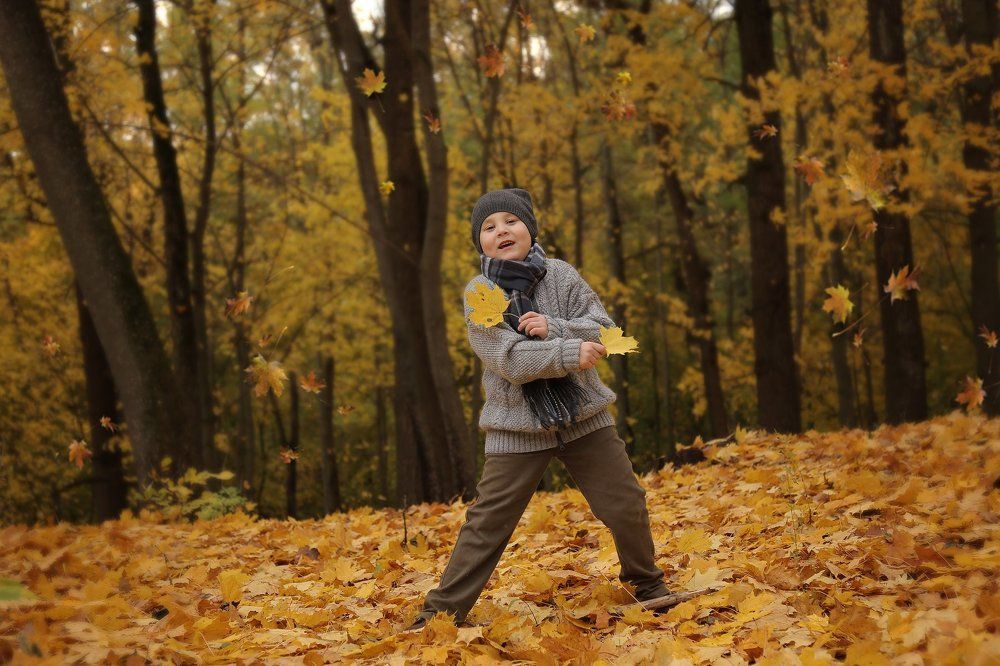 падают листья