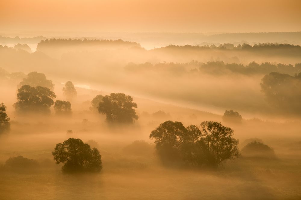 В пред рассветной тишине....