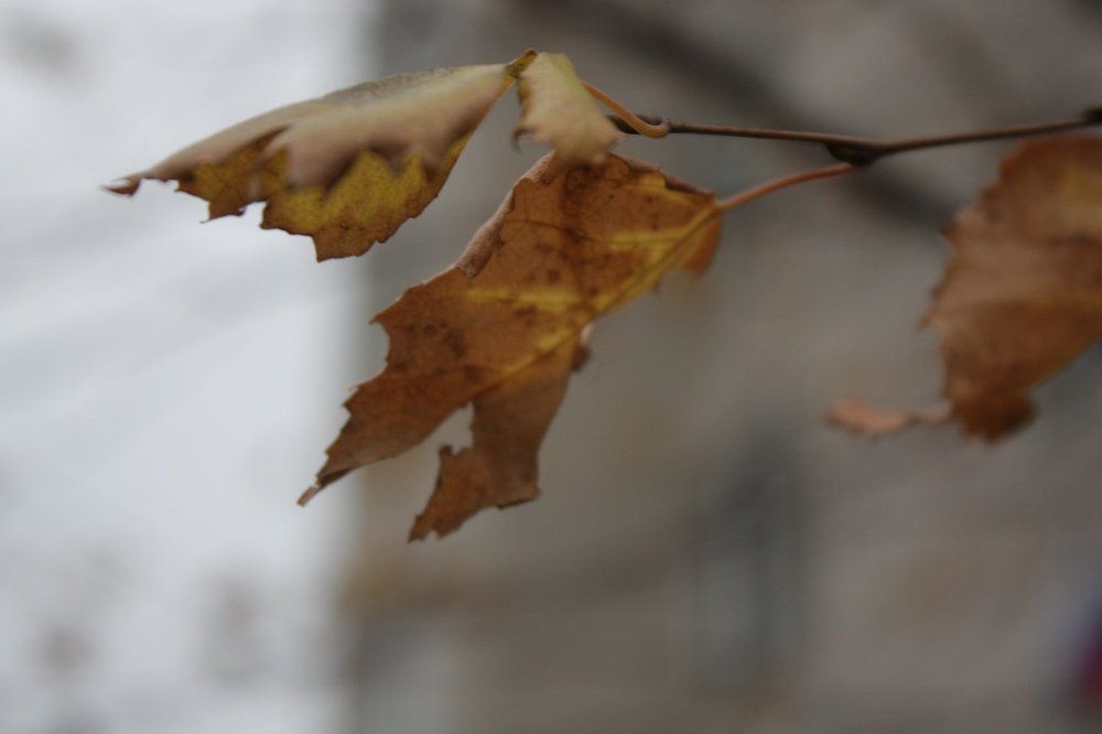 Photograph by Наталья