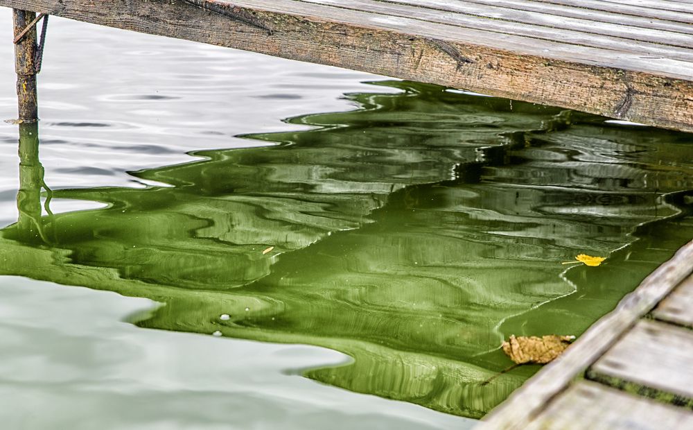 Русалочий блюз