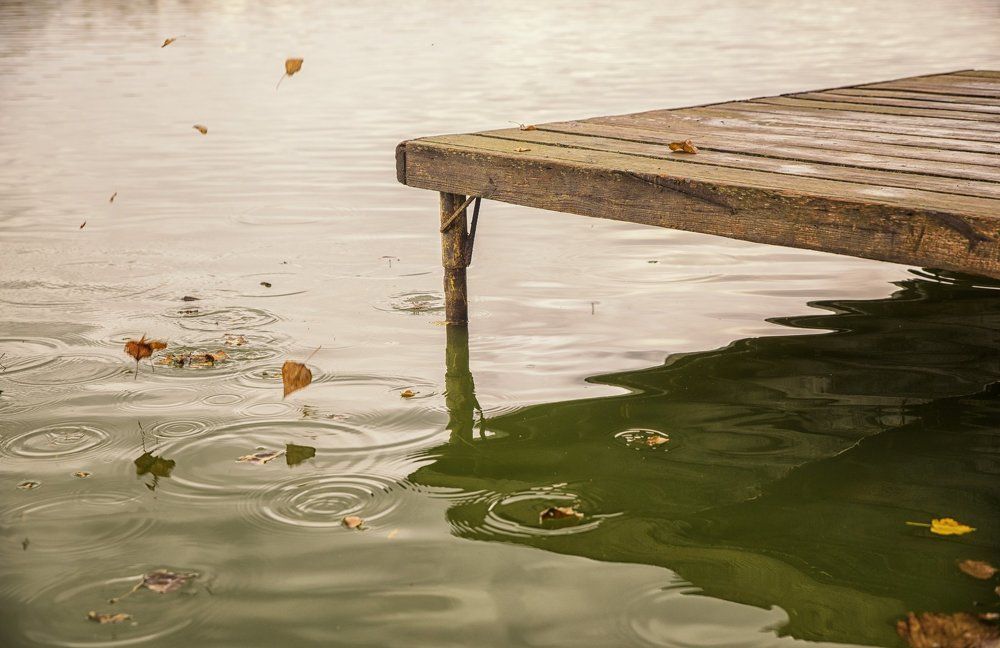 Photograph by Татьяна