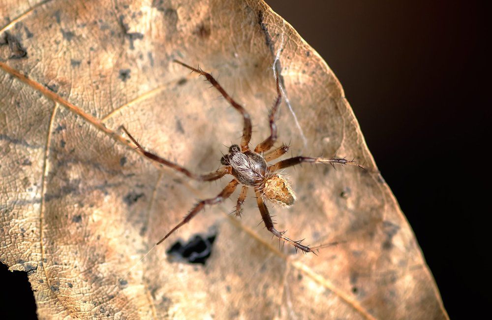 Photograph by nailul