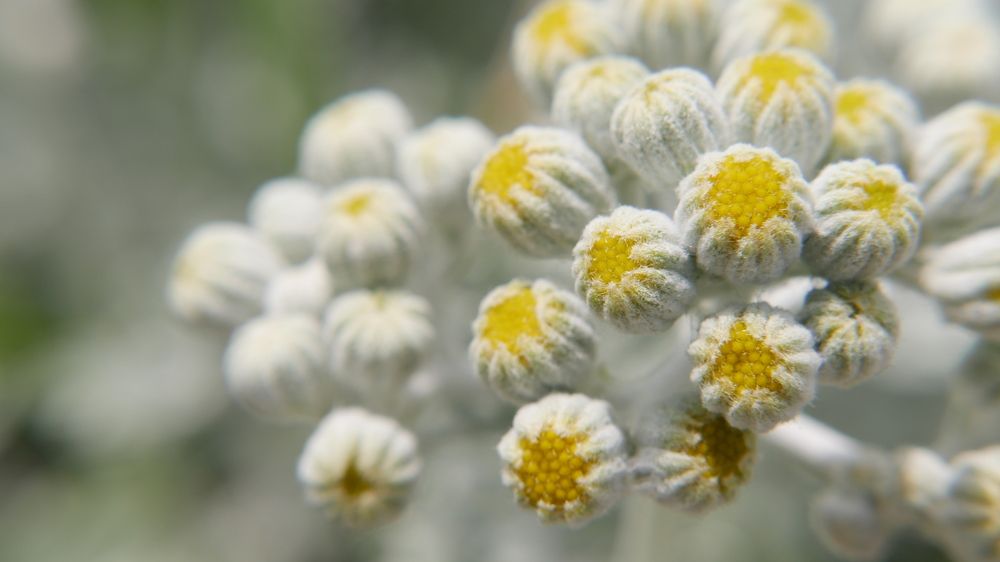 Photograph by Svetlana