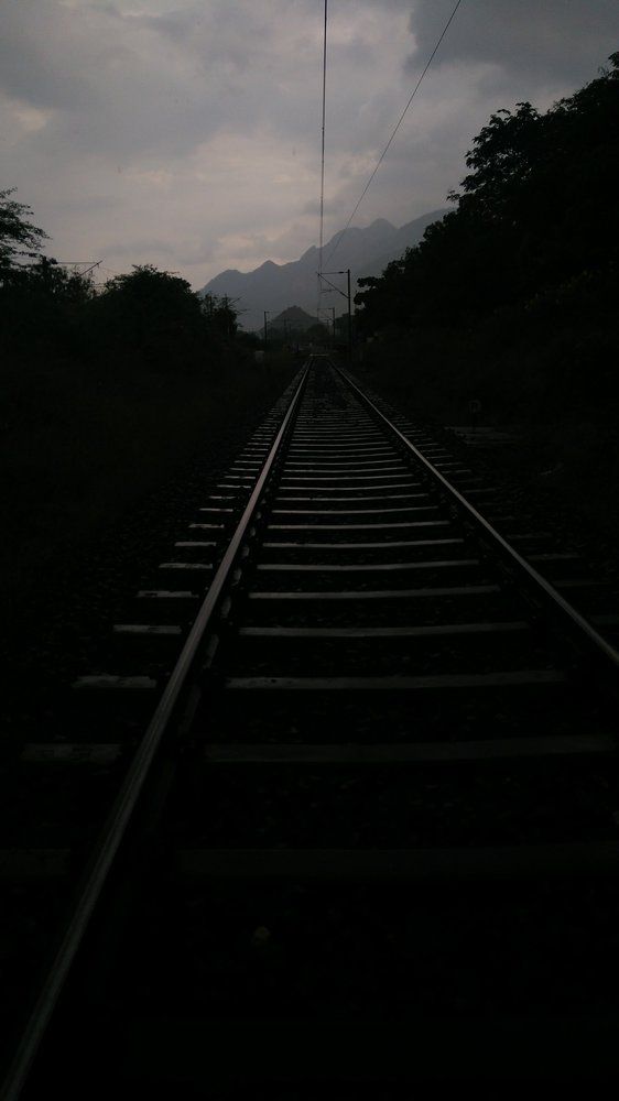 Photograph by Rajamahendran