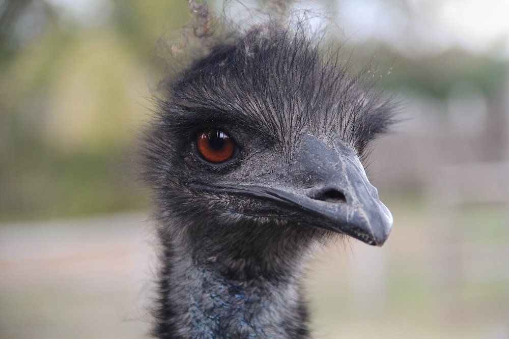 Photograph by Жукова Галина