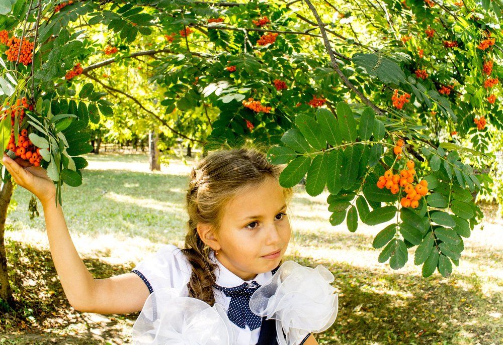 Краса и взлет,