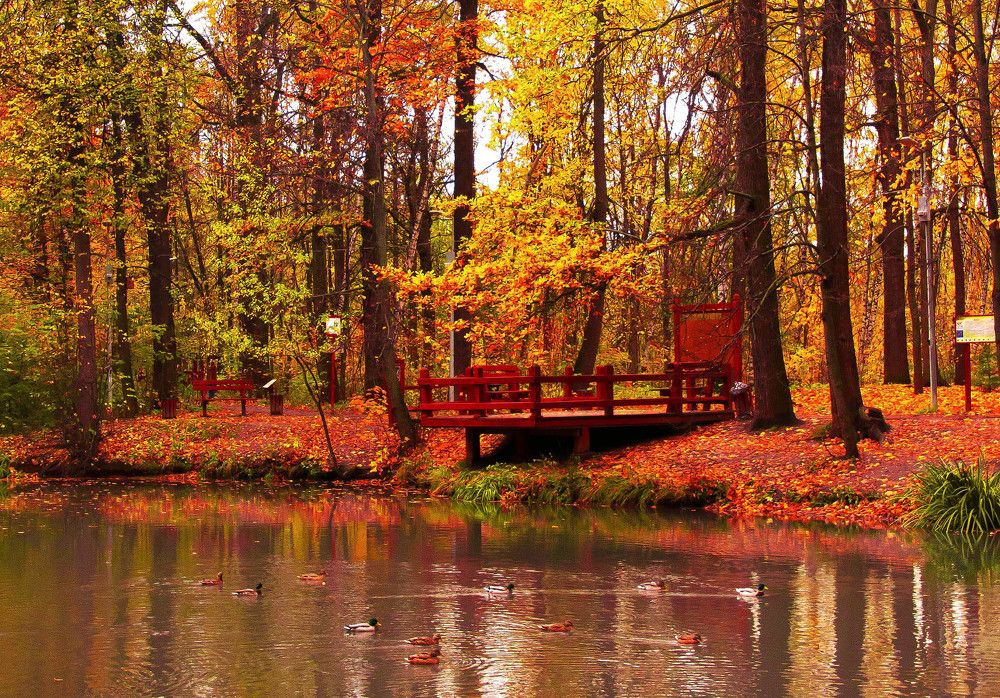 Осень на Воробьевых горах