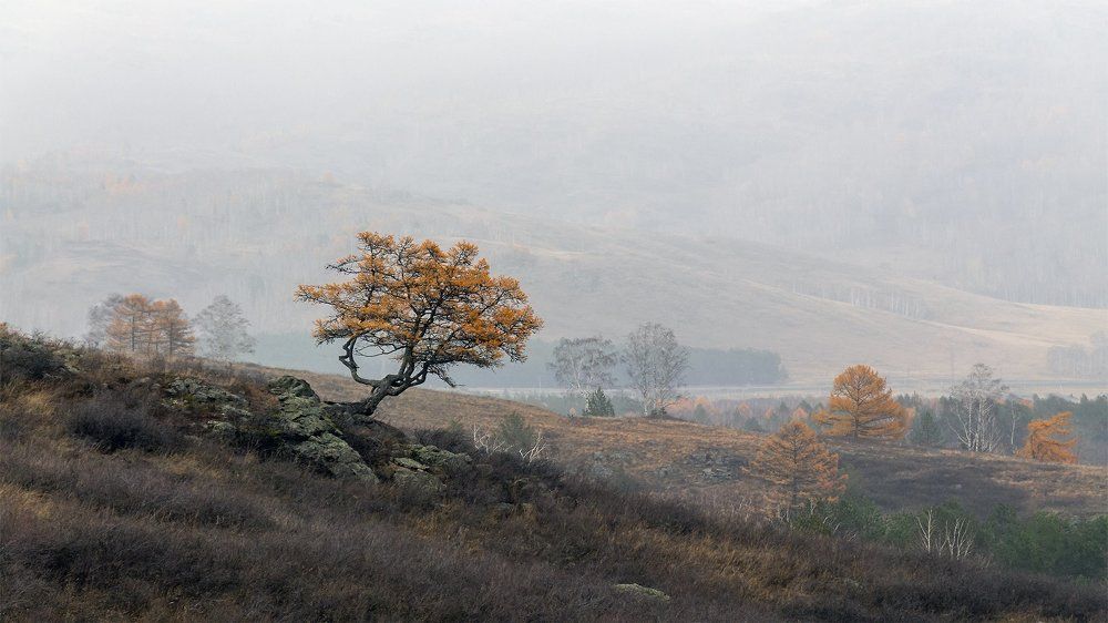 Осенняя пастель