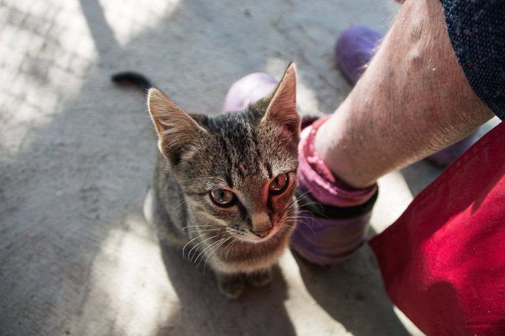 Старость в радость