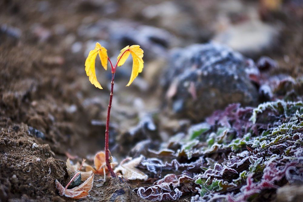 Уже согрелся