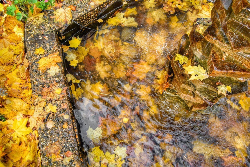 Осенний фонтан в лесу