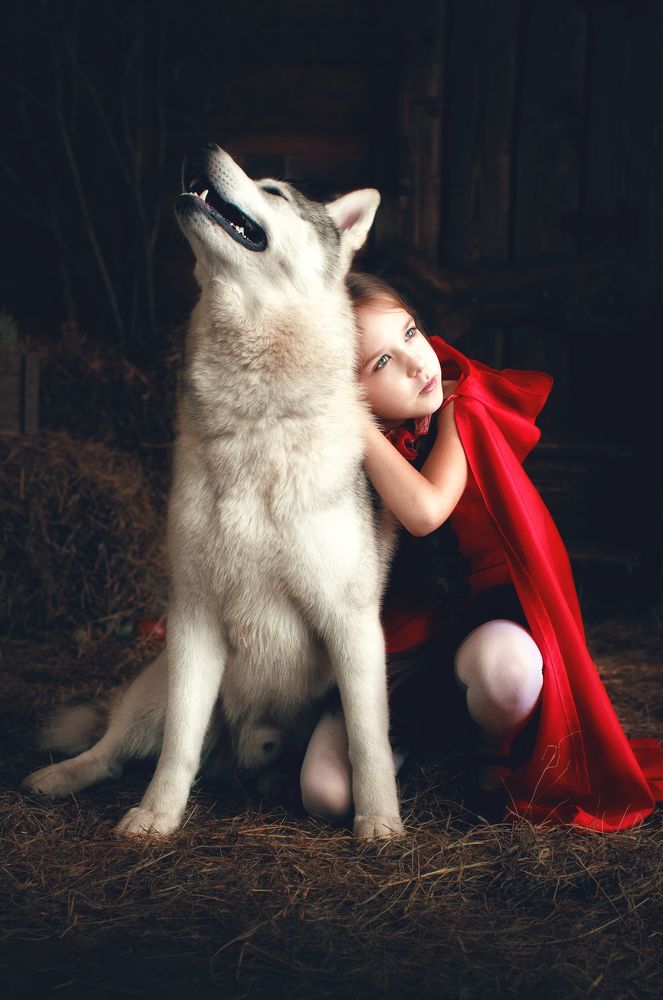 Волшебная дружба