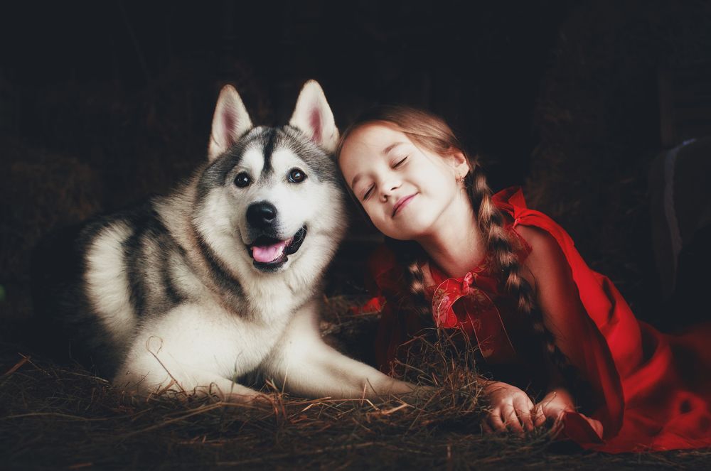 Волшебная дружба