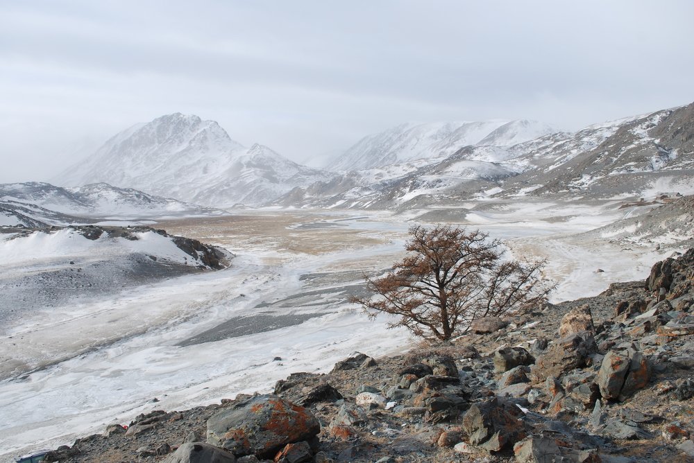 Царство драконов