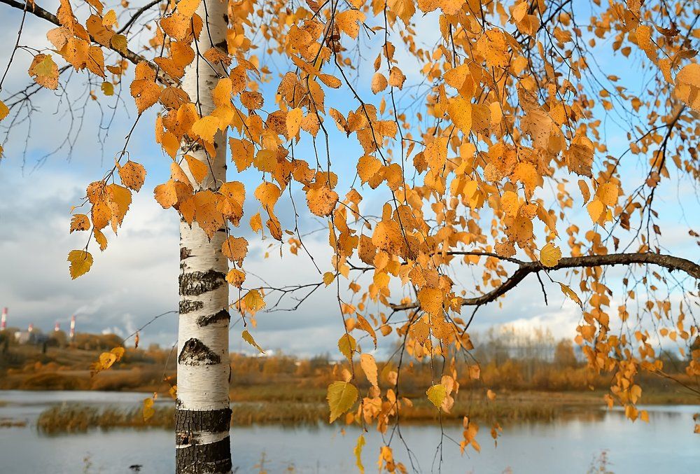 Photograph by Кузнецовский Руслан