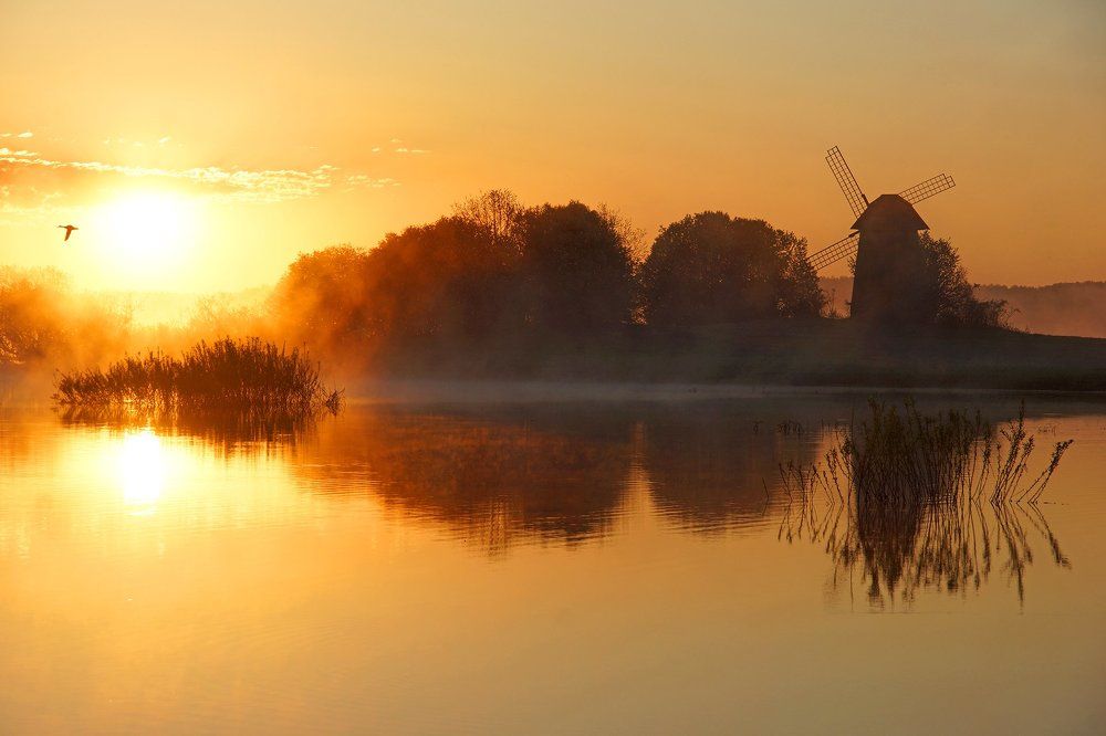 Золотой рассвет
